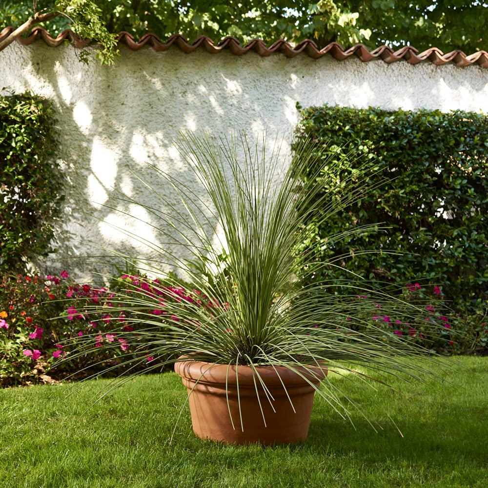 Garden Italia Vasi SUPER OFFERTA Vaso per piante Conca liscia ICNB Diam.55 cm – alt.30 – in resina colore terracotta - Made in Italy - antiurto - leggero