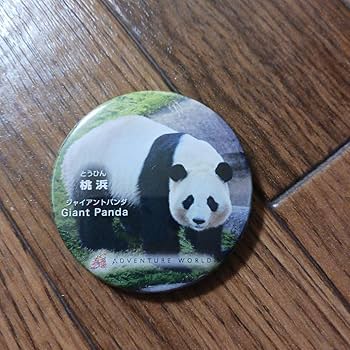 Amazon.co.jp: アドベンチャーワールド グッズ パンダ 缶 バッジ
