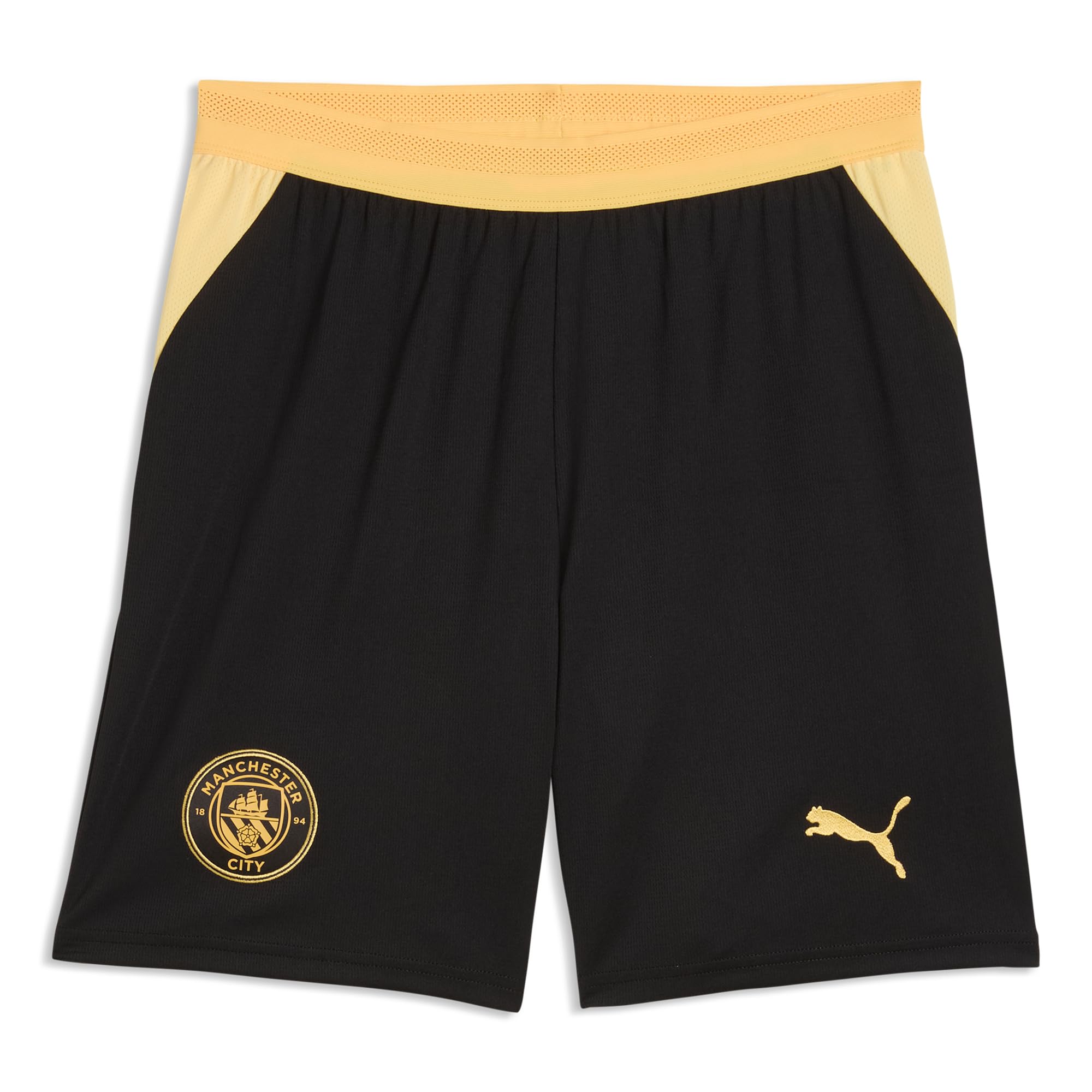 PUMA MCFC Shorts Replica