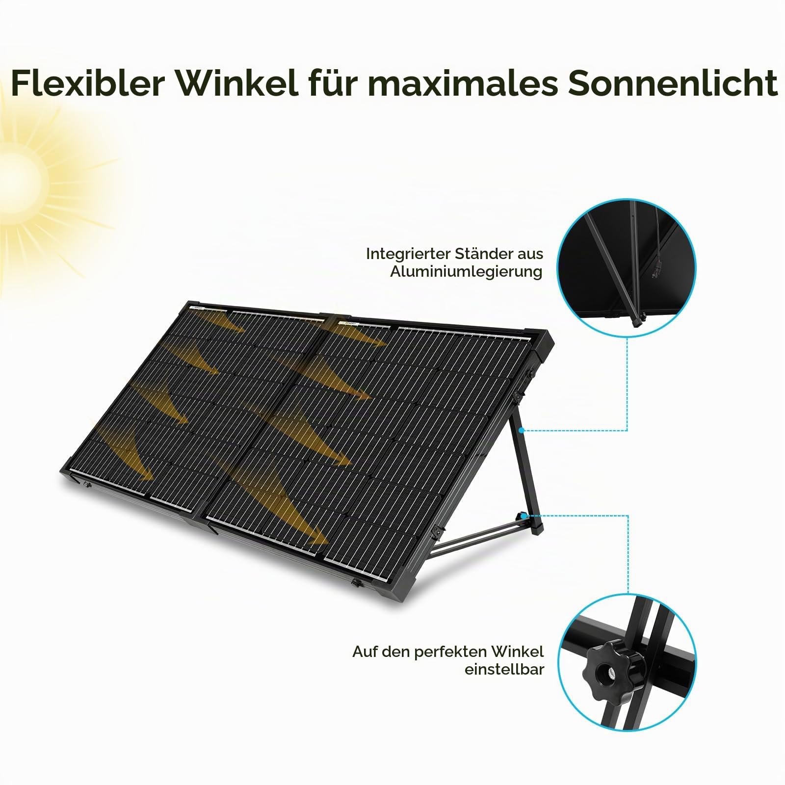Renogy 100W 12V Mono Solarkoffer Wasserdicht 20A Solarregler LCD für Wohnmobil Camper Boot