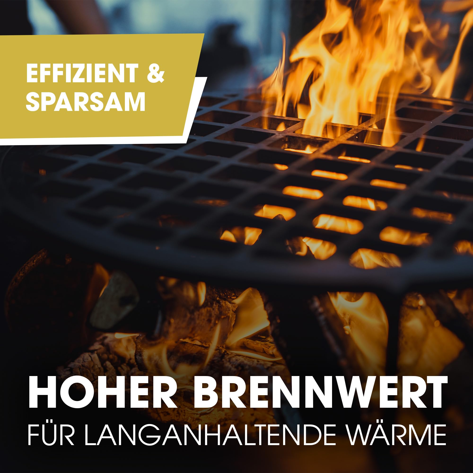 Buche Brennholz - 20 kg - trockenes Kaminholz, ofenfertig, Hartholz mit hohem Brennwert, Feuerholz für Ofen und Lagerfeuer