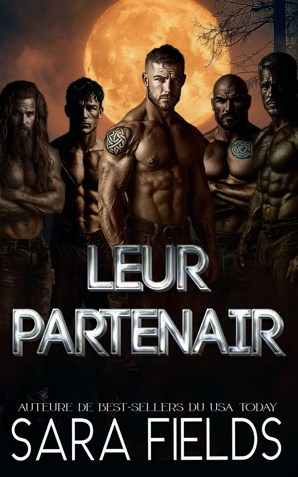 Leur Partenaire: Une Romance Sombre avec des Loups Métamorphes: 2 (Les Alphas d'Irlande)