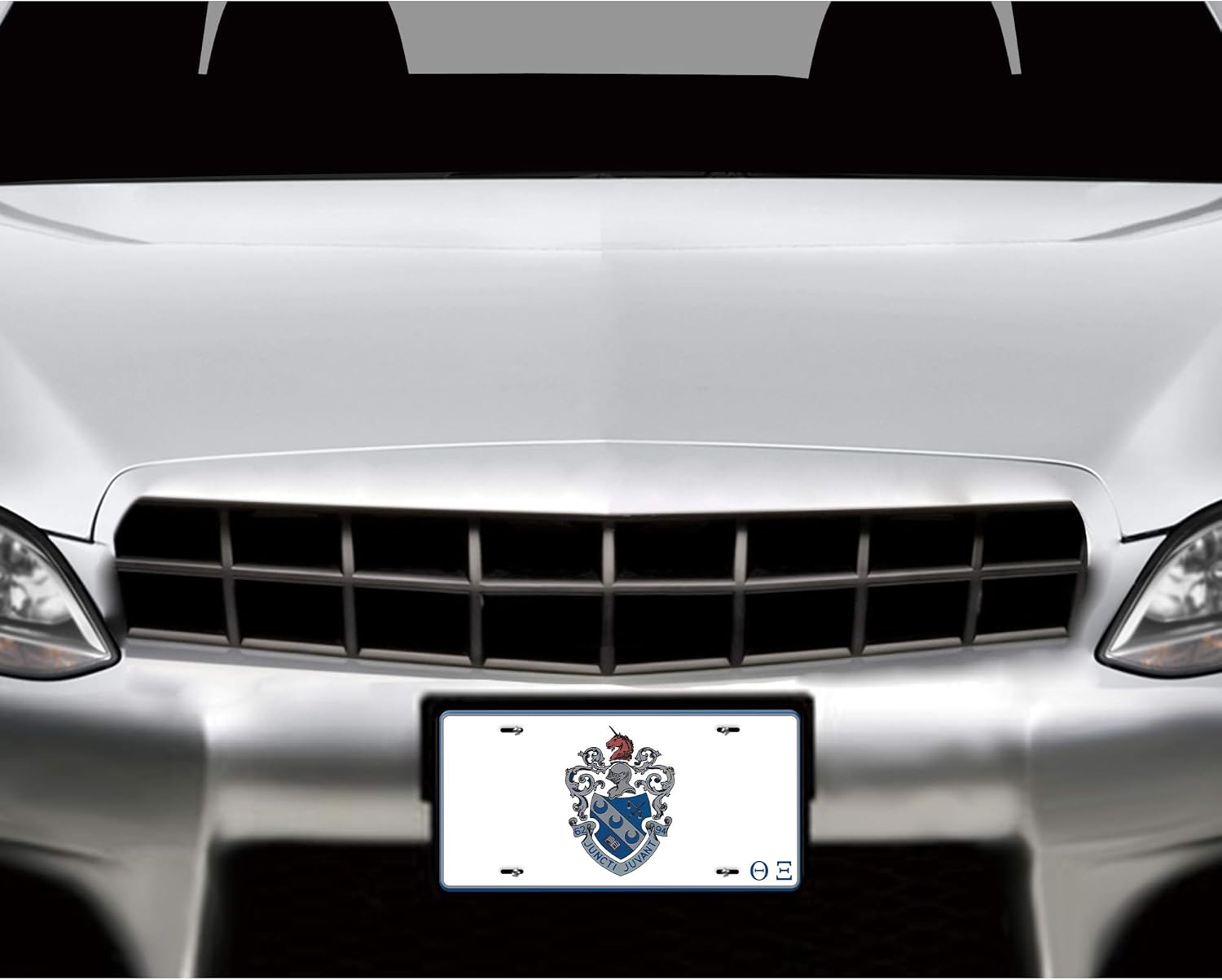 Theta Xi Decorative Aluminum Car Front License Plate - 12” H x 6” W Four Pre-Drilled Holes for Mountain License Frame - Easy Installation Cars, Bikes and Wagons - Ideal Gift for Birthdays, Holidays