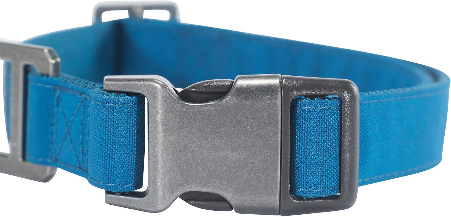 Carhartt Nylon Duck Dog Collar, Fully Adjustable Durable 2-Ply Cordura Nylon Canvas Collars for Dogs, Marine Blue, Large