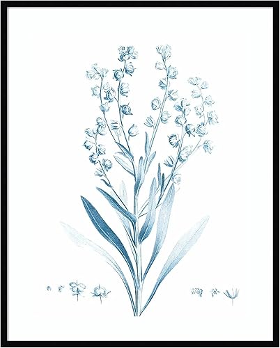 Miniatura 13 de Amanti Art Vision Studio - Lienzo decorativo para pared, 24 x 20 pulgadas, botánico antiguo en azul I por Vision Studio, arte de pared de flores,