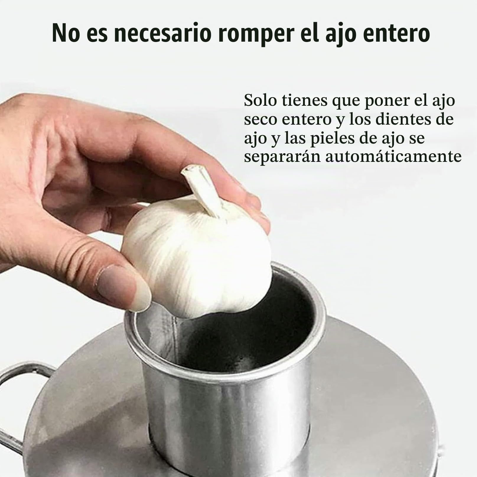 Peladora de ajos Secos, automática de Acero Inoxidable, eléctrica para cantinas y restaurantes.