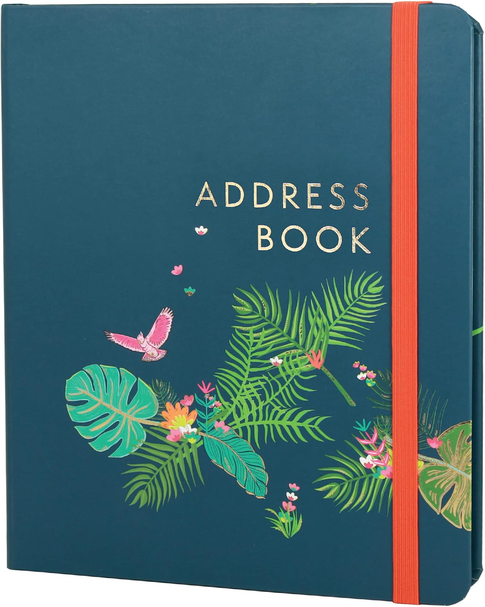 Boxclever Press Large Address Book with 432 Spaces. Address Books with Alphabet Index Hardback, Birthday & Christmas Card Sections, Address Labels & Pocket. Address and Birthday Book - 21.5 x 18.5cm