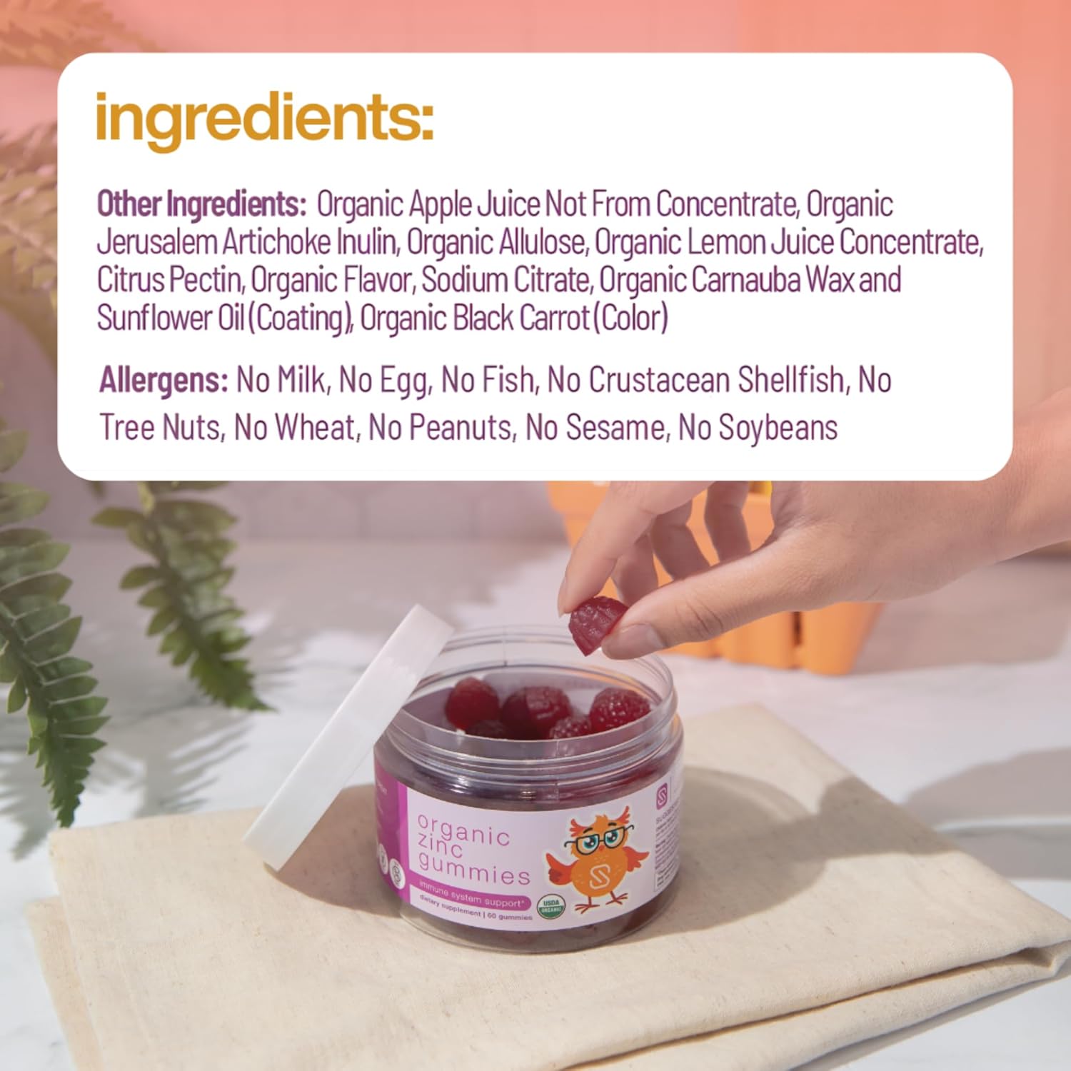 Organic Zinc Gummies by Dr. Ana Maria Temple | Supports Healthy Immune Function & Skin Health | USDA Certified Organic | Gentle, Highly Absorbable Zinc Citrate Form | 60 Gummies