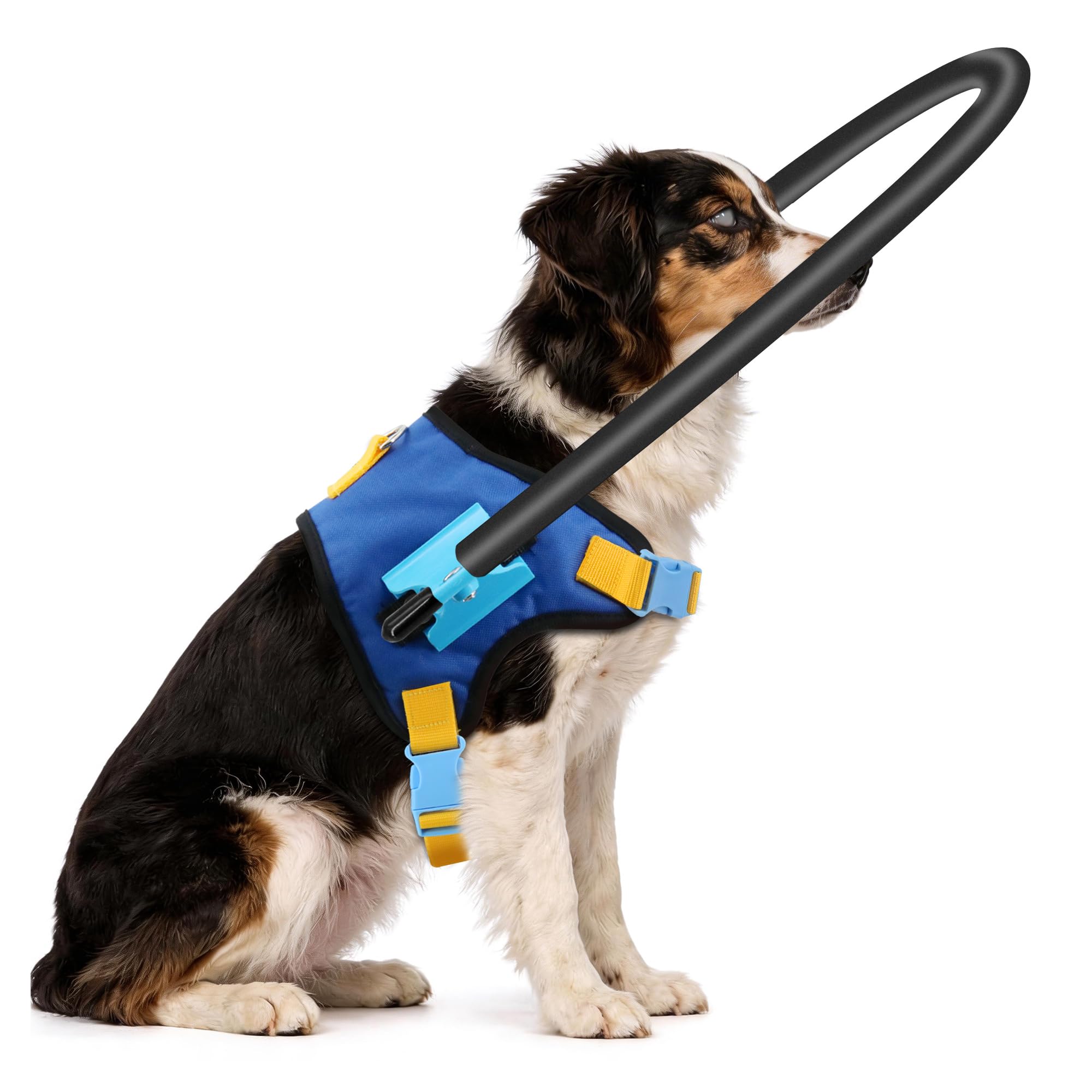 Photo 1 of LetPetRun Blind Dog Halo Harness, Adjustable Anti-Collision Aid, XS 10"-14"