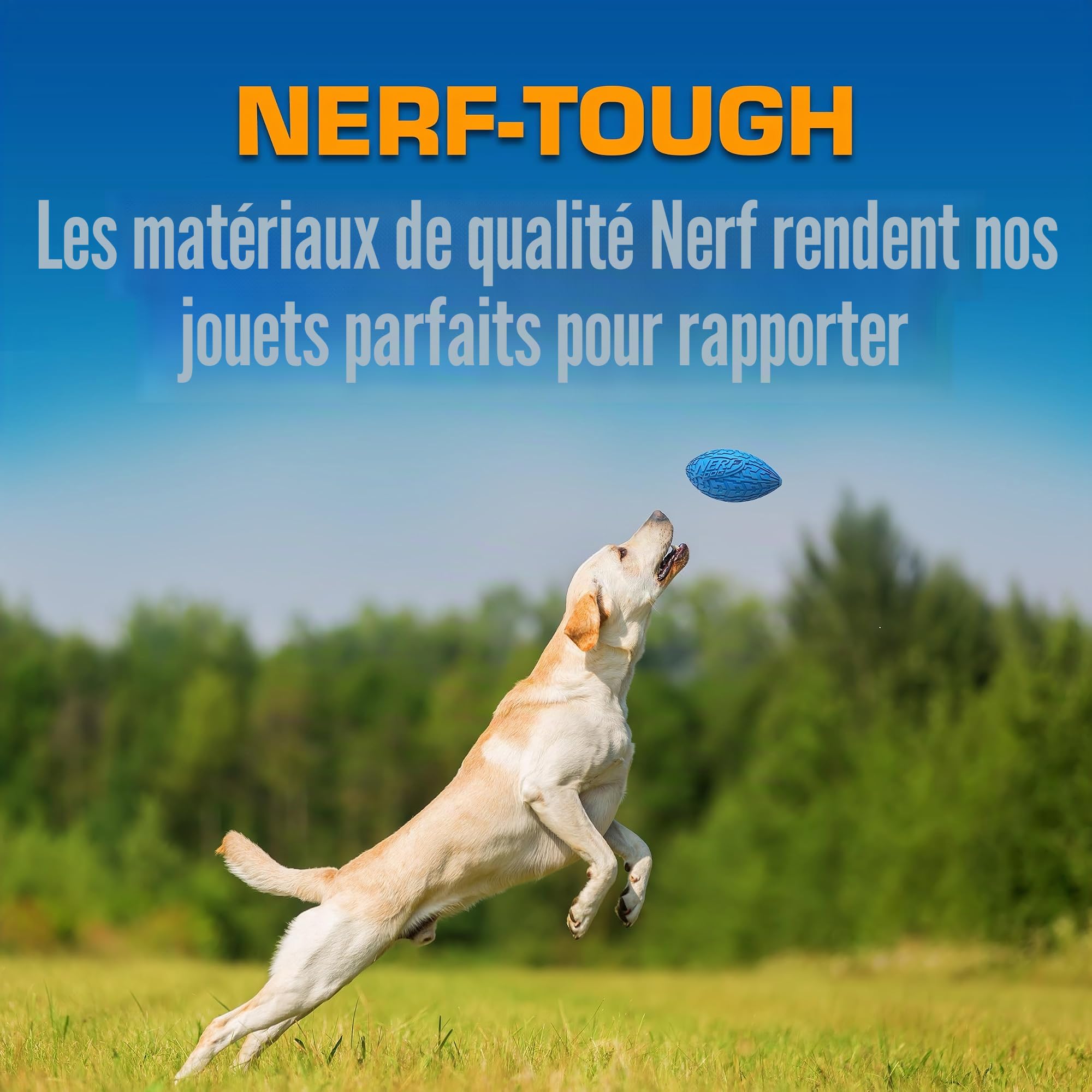 Nerf Dog Coffret cadeau jouet : balle en caoutchouc de 9,7 cm, balle couinante en caoutchouc thermoplastique translucide de 6,9 cm, balle couinante et ballon de football couineur en caoutchouc de 15,2