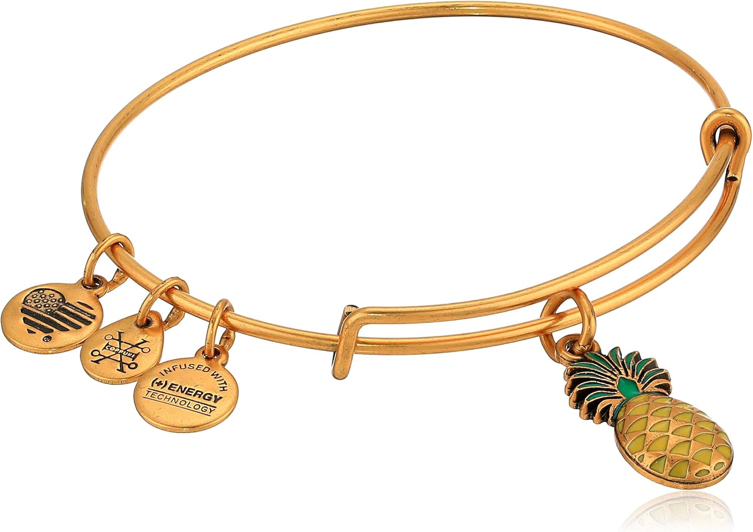 Alex and Ani Women's Color Infusion, Pineapple Bangle Bracelet, Rafaelian Gold, Expandable