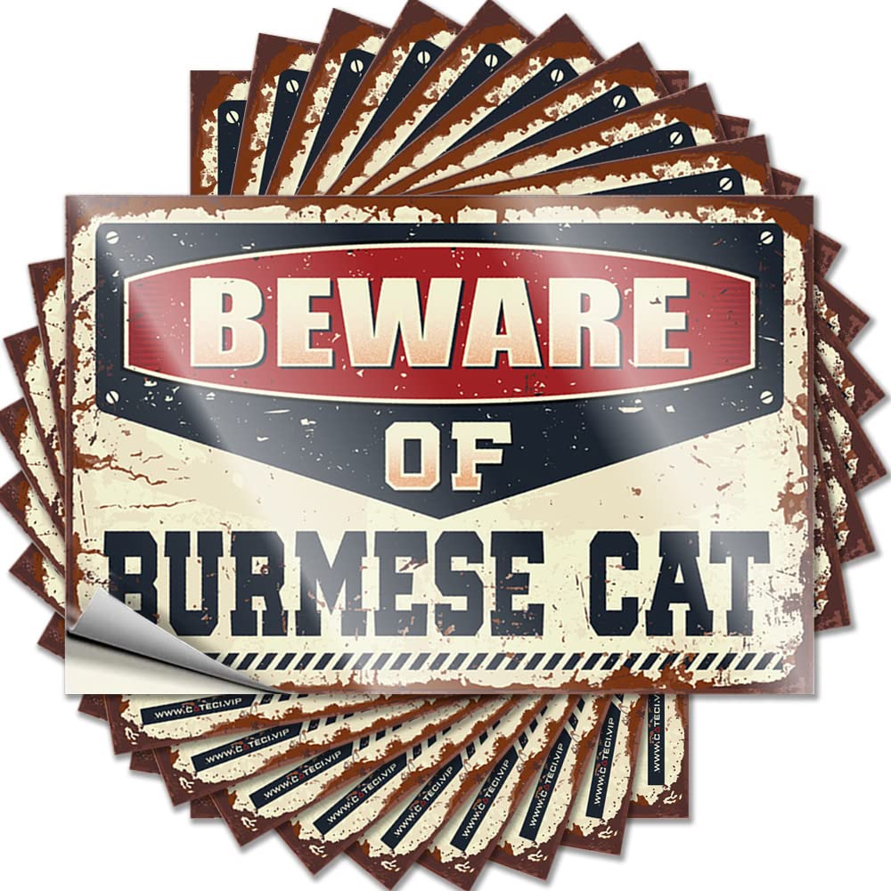 Assorted Decal Aesthetic Decals, Balcony Decor Cute Pattern Design for Racing Notebook | Collection Removable Vinyl Beware of Burmese Cat(6X9CM)