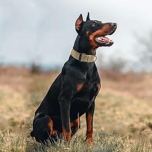 Miniatura 25 de Collar táctico personalizado para perro con parches de nombre y números, collar personalizado resistente con hebilla de cinturón de metal de 2 pines