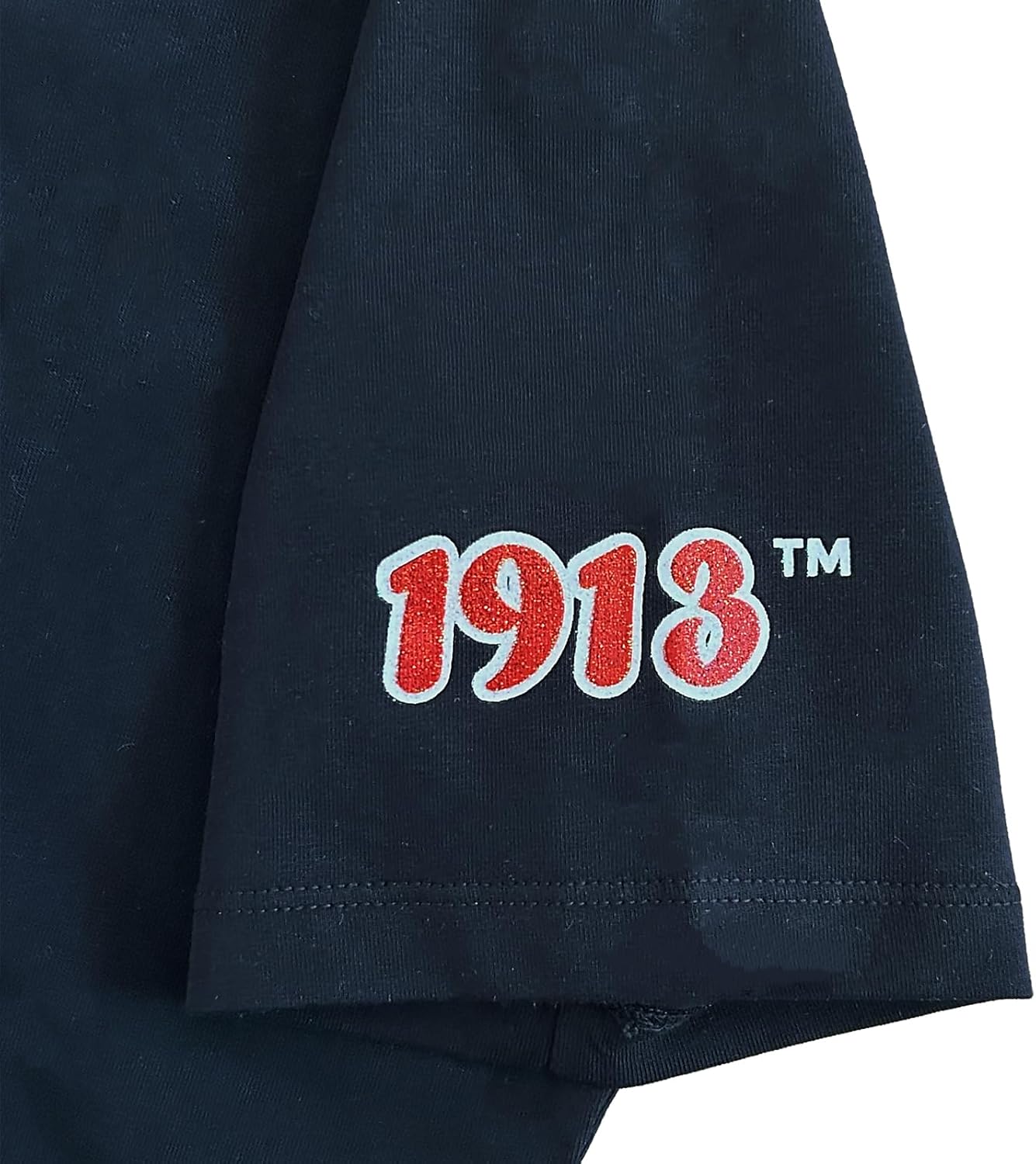 Delta Sigma Theta Design, DST Sorority Script Style Vibrant Glitter Design V-Neck T-Shirt