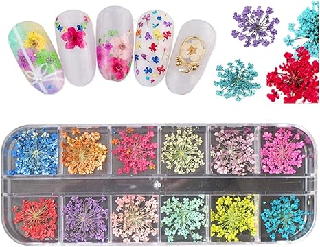 Amazon Co Jp Lzyfzd Uvジェルネイルデザインのための本当のドライフラワーを押して1箱12色ドライフラワーネイルアートデコレーション花ステッカーデカールポーランド Color a135 ビューティー Amazon Co Jp Lzyfzd Uvジェルネイルデザインのための本当のドライフラワーを押して1箱12色ドライフラワーネイルアートデコレーション花ステッカーデカールポーランド Color a135 ビューティー