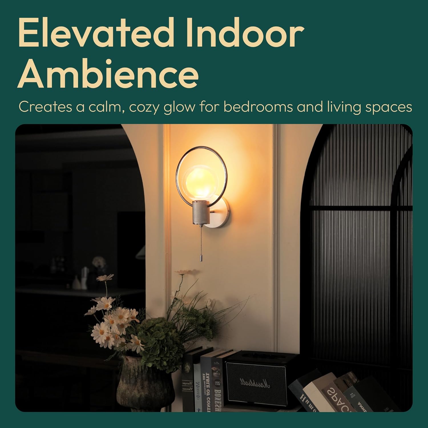 ALAMPEVER Modern Wall Sconce with Pull Chain, Metal Silver Wall Lights with G125 Glass Globe Bulb, Wall Mount Light for Enhancing Indoor Ambience in Bedroom, Living Room, and Hallway, 1 Pack