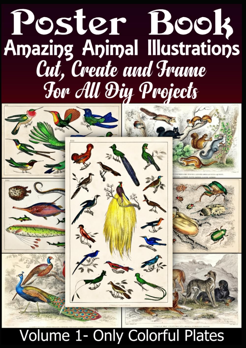 Amazing Animal Illustrations: Cut, Create and Frame - For All Diy Projects      Paperback – Large Print, October 7, 2025