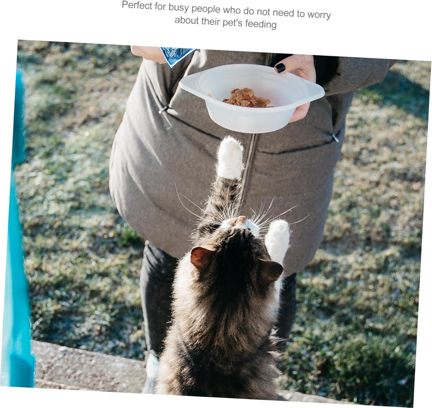 Automatic Feeder Cat Feeder and Water Dispenser Pet Accessories for Indoor Cats