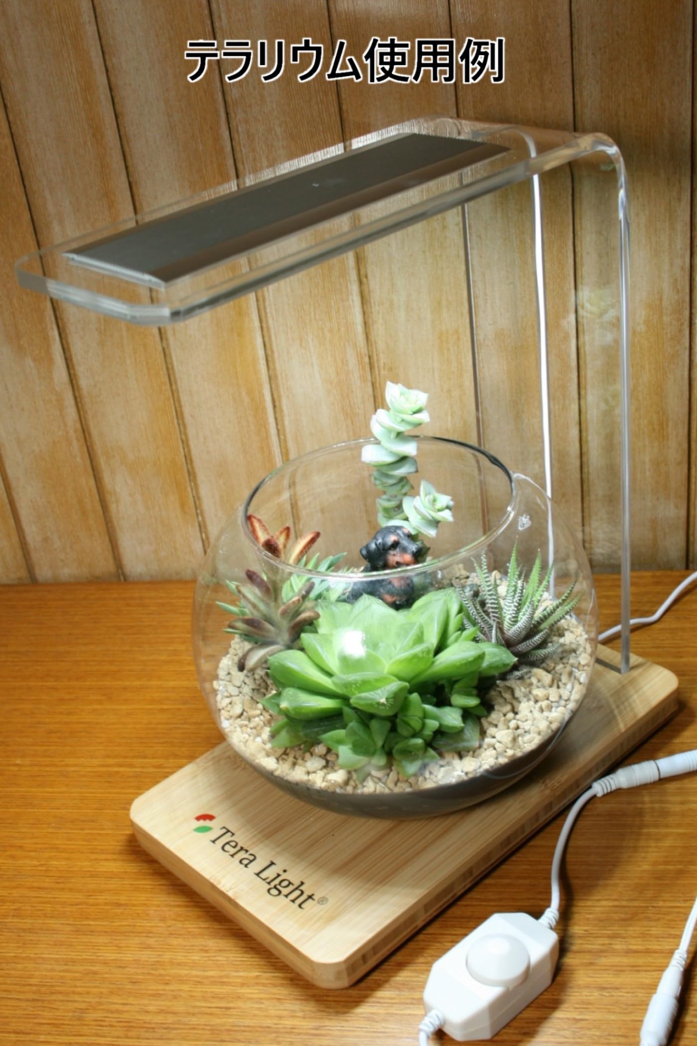Amazon.co.jp: 植物育成 LED テラリウム・アクアリウム・ライト 手作り