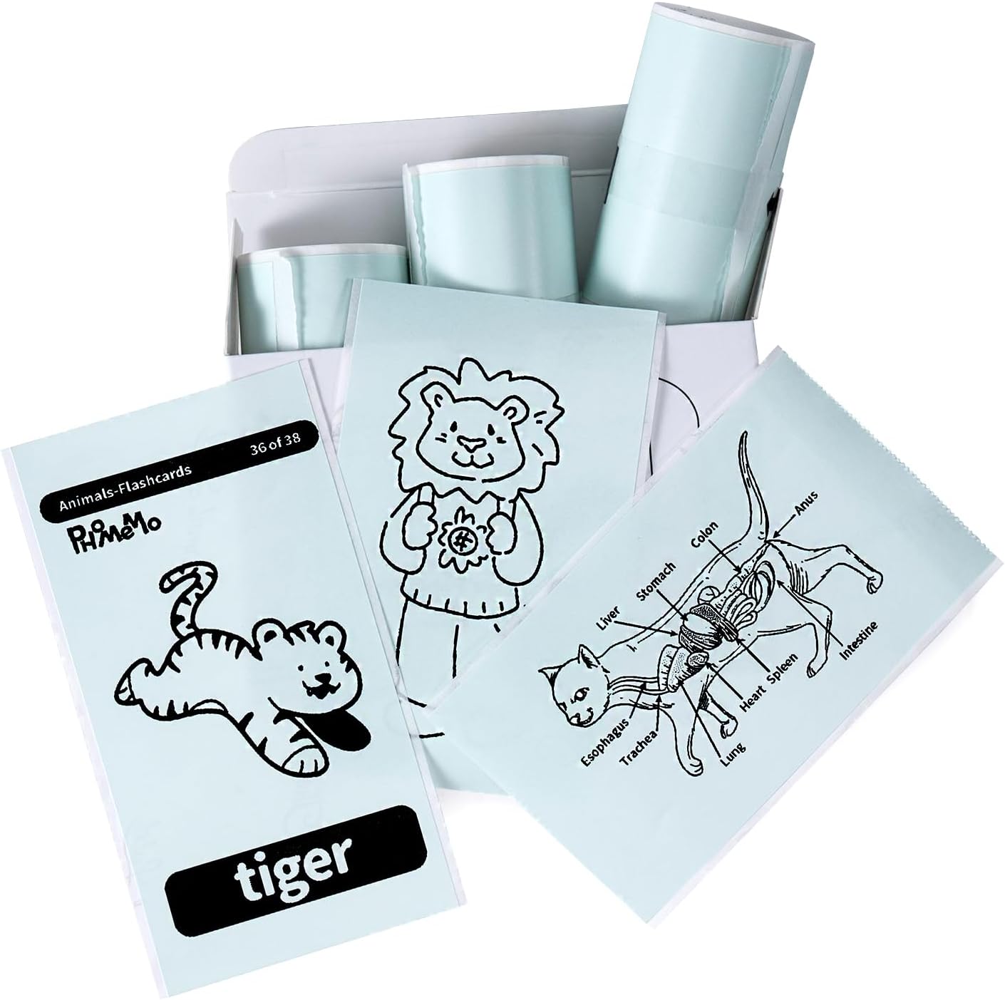 Memoking T02 / Q02E / M02X / M02L Sticker Thermal Paper - Light Green T02 Mini Printer Sticker Paper Refill, 50 mm x 3.5 m, Keep for 20 Years, for Journal Photo, Study Notes, Texts, 3 Rolls