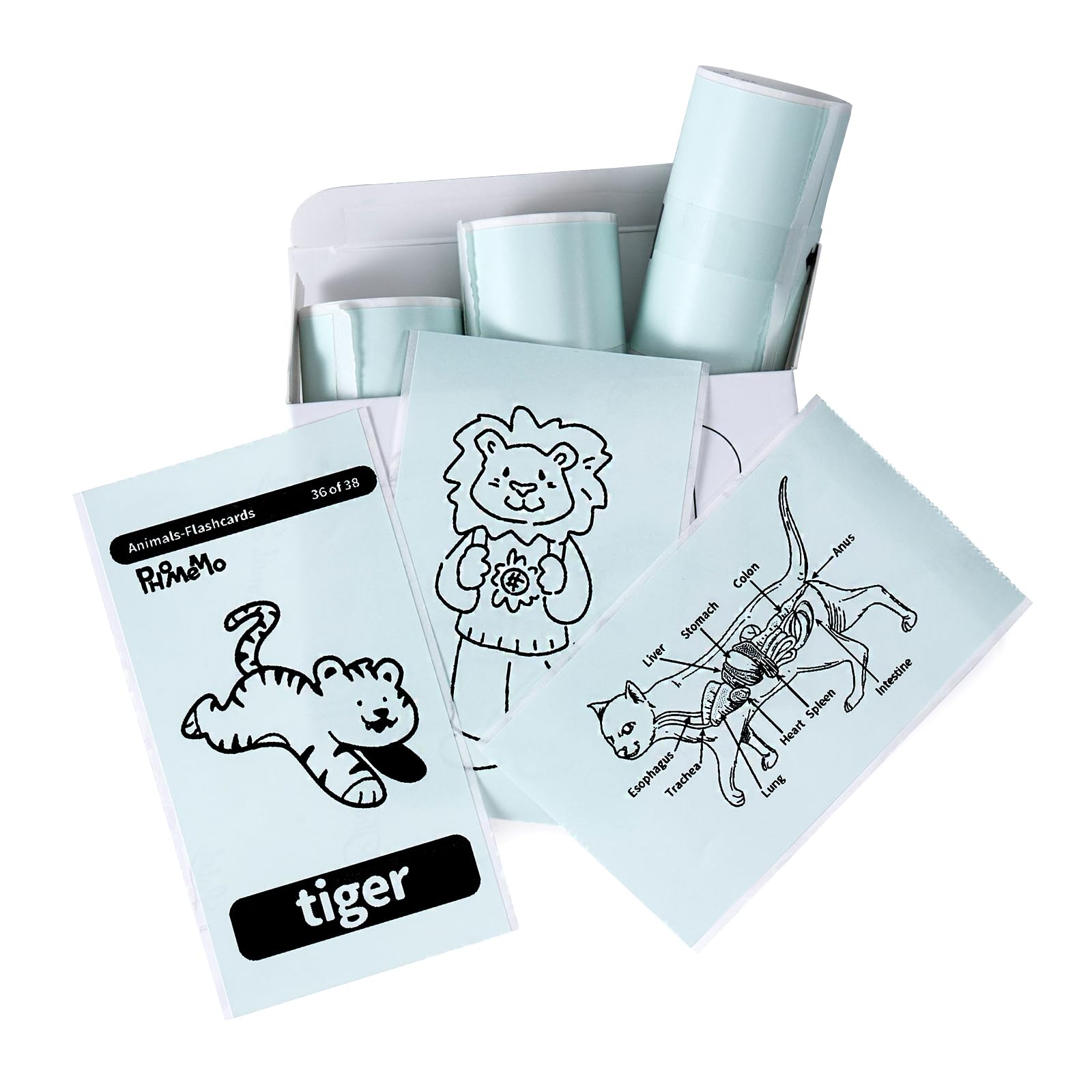 Memoking T02 / M02X / M02L Sticker Paper - Light Green Sticky T02 Mini Printer Sticker Paper Refill, 50 mm x 3.5 m, Keep for 20 yrs, for Journal Photo Study Notes, 3 Rolls