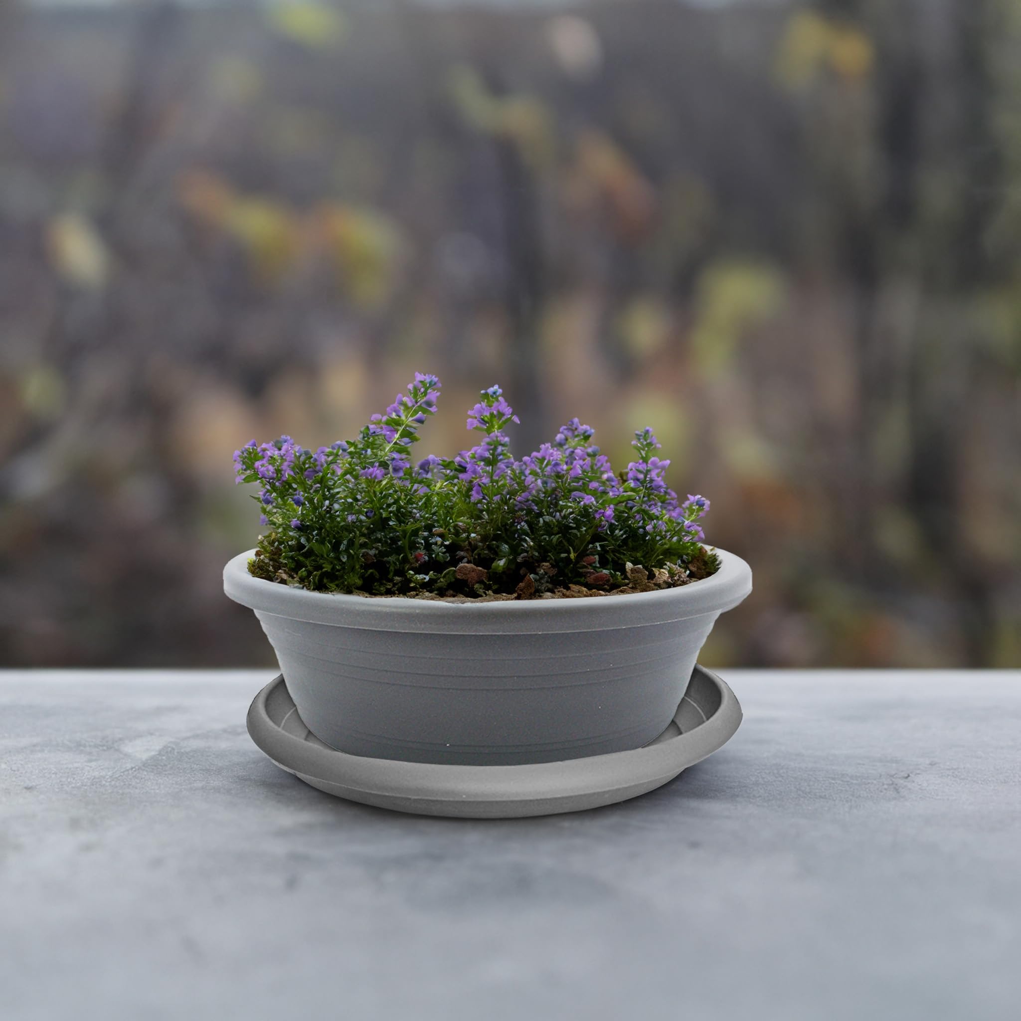 Pflanzkübel und Untersetzer als wetterfeste Pflanz-Schale mit Loch - großer 25 cm Blumenkübel in grau als runder Pflanztopf, frostsicher für außen