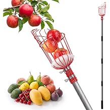 Suchtale 5.5FT Fruit Picker Tool, 35-65" Adjustable Pole with Basket