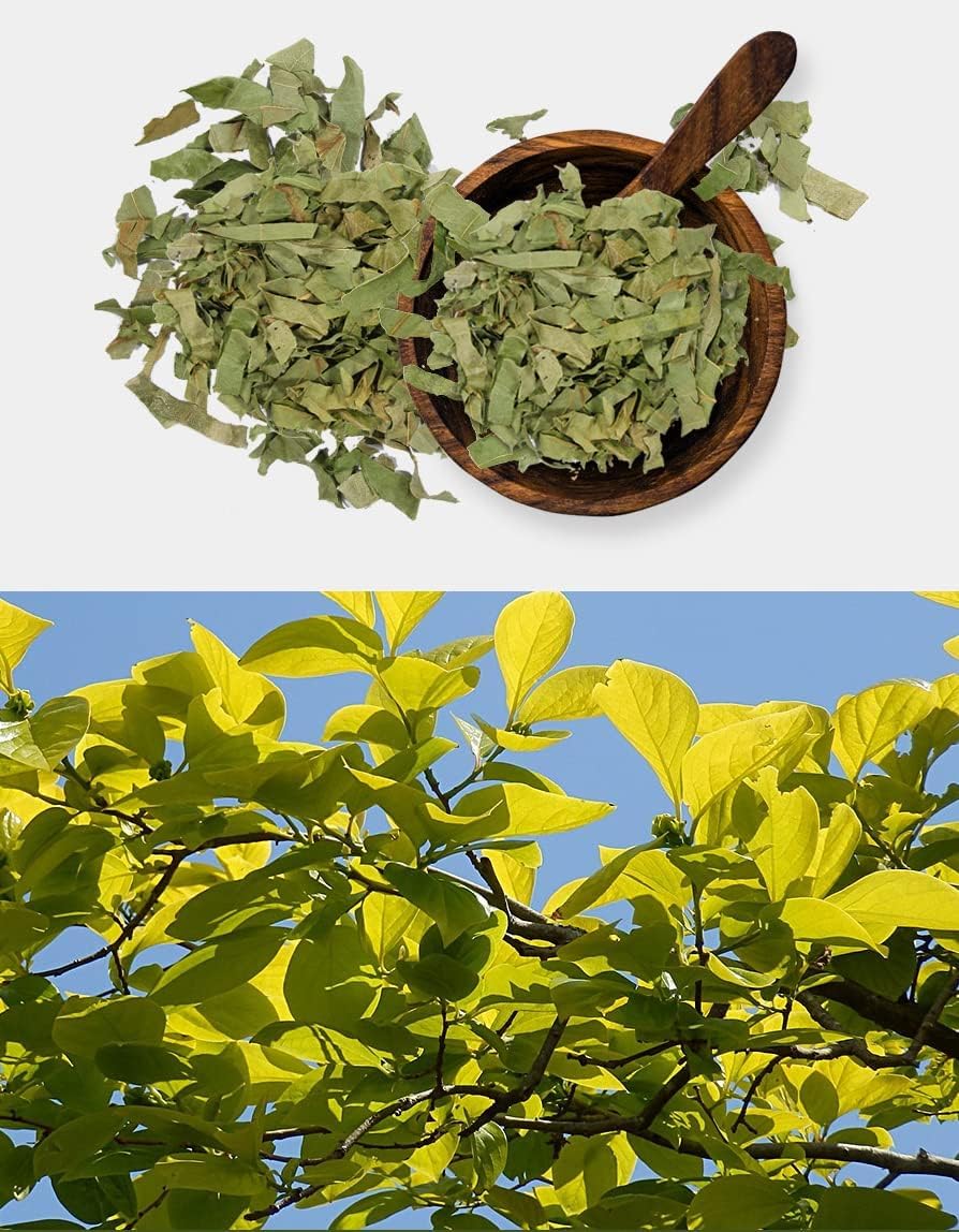 Organic Natural Pure Persimmon Leaf Extract Powder -10.58 Ounce (300g) - Image 7