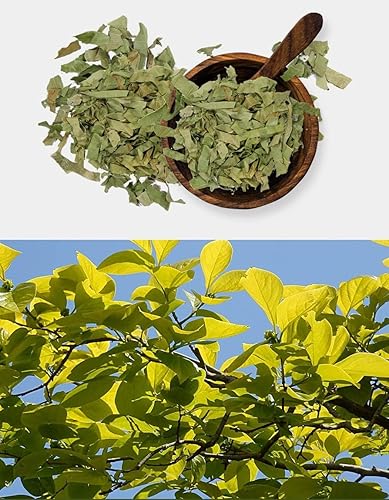 Miniatura 7 de Polvo de extracto de hoja de caqui puro natural orgánico -10.58 onzas (10.58 oz)