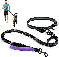 Guia Retrátil Dupla Refletiva para Cães, Guia para Cachorros, Cinto Ajustável, Adequado para Correr com Cães e Atividades ao ar Livre (Roxo)