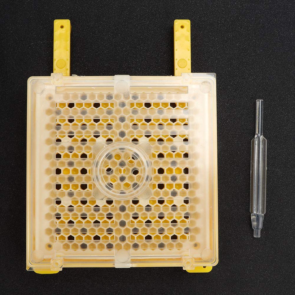 Kit per Allevamento di api, Kit per Allevamento di api in plastica Set per Allevamento di api in plastica Accessori per Attrezzi per l'apicoltura di Bottiglie per marcatura di Gabbie
