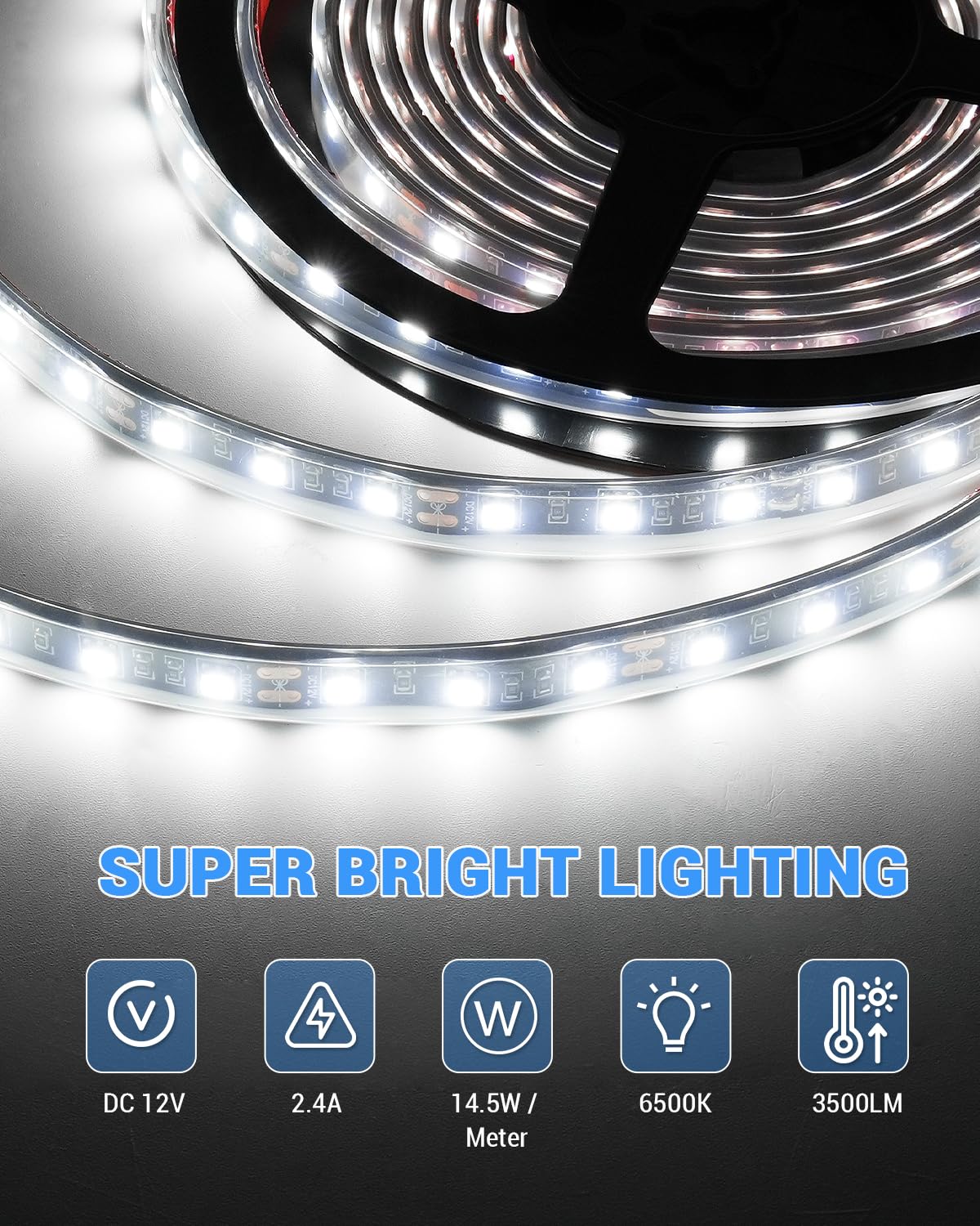 SUPAREE Bande LED 12V 5M Ruban LED 12V Fourgon Ruban LED Étanche Blanc Froid 6500K 3500LM CRI 90+ IP67 Découpable Flexible pour Camping-car RV (Sans Alimentation)