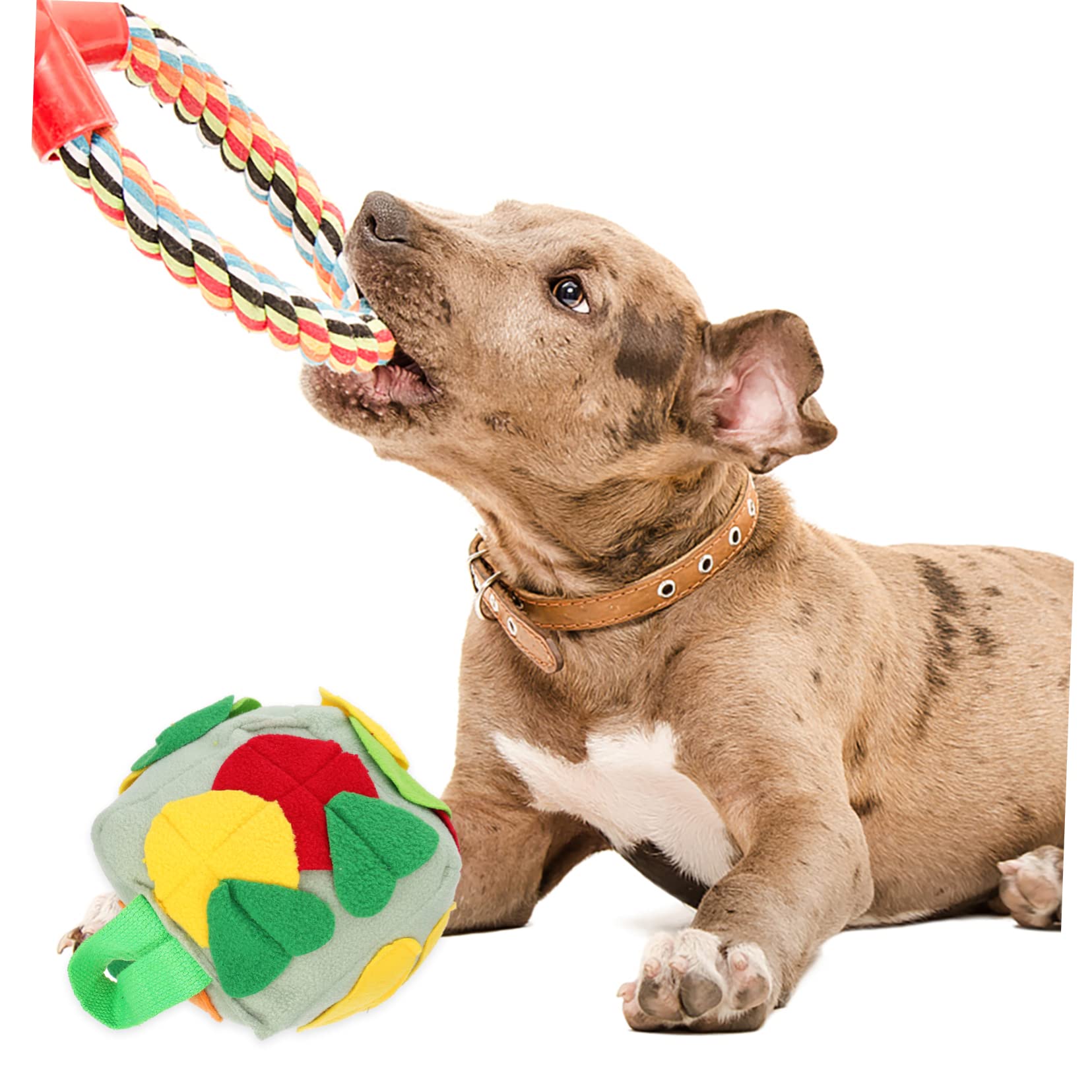 FOMIYES 2stücke Interaktiver Hundespielzeugball Kauspielzeug Für Langsames Füttern Schnüffelball Für Haustiere Fördert Training Und Spiel Sicheres Material
