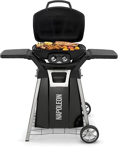Miniatura 3 de Napoleon TravelQ - Accesorio para parrilla de barbacoa, soporte para PRO285, bandeja de condimentos de acero inoxidable, abridor de botellas