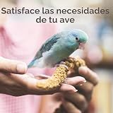 Ver la foto 4