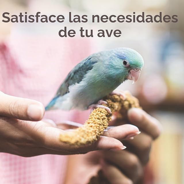 Foto 4 de 6 de Beaphar Xtravital Aves Exóticas - Alimentación Premium - Contiene Semillas y Cereales