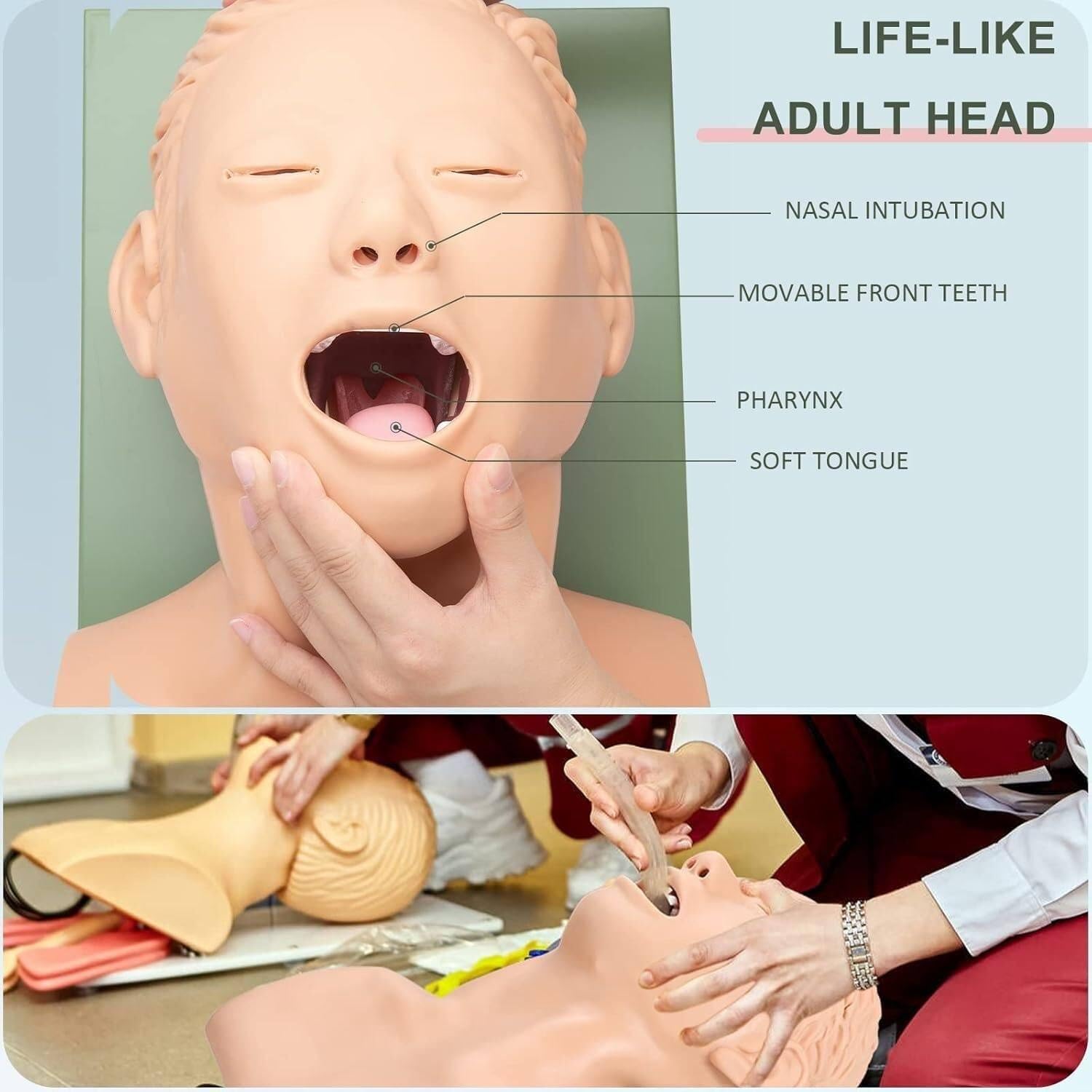 il simulatore di gestione delle vie aeree per l'addestramento allo sforzo dell'intubazione tracheale e il simulatore pratico di intubazione orale nasale,manichino di addestramento alla trachea