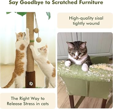 Woochpet Cat Scratching Post for Indoor Cats and Kitten - 35.43 Tall Cat Scratching Post with Sisal Rope,Palm Tree Cat Scratch Post with Hanging Ball