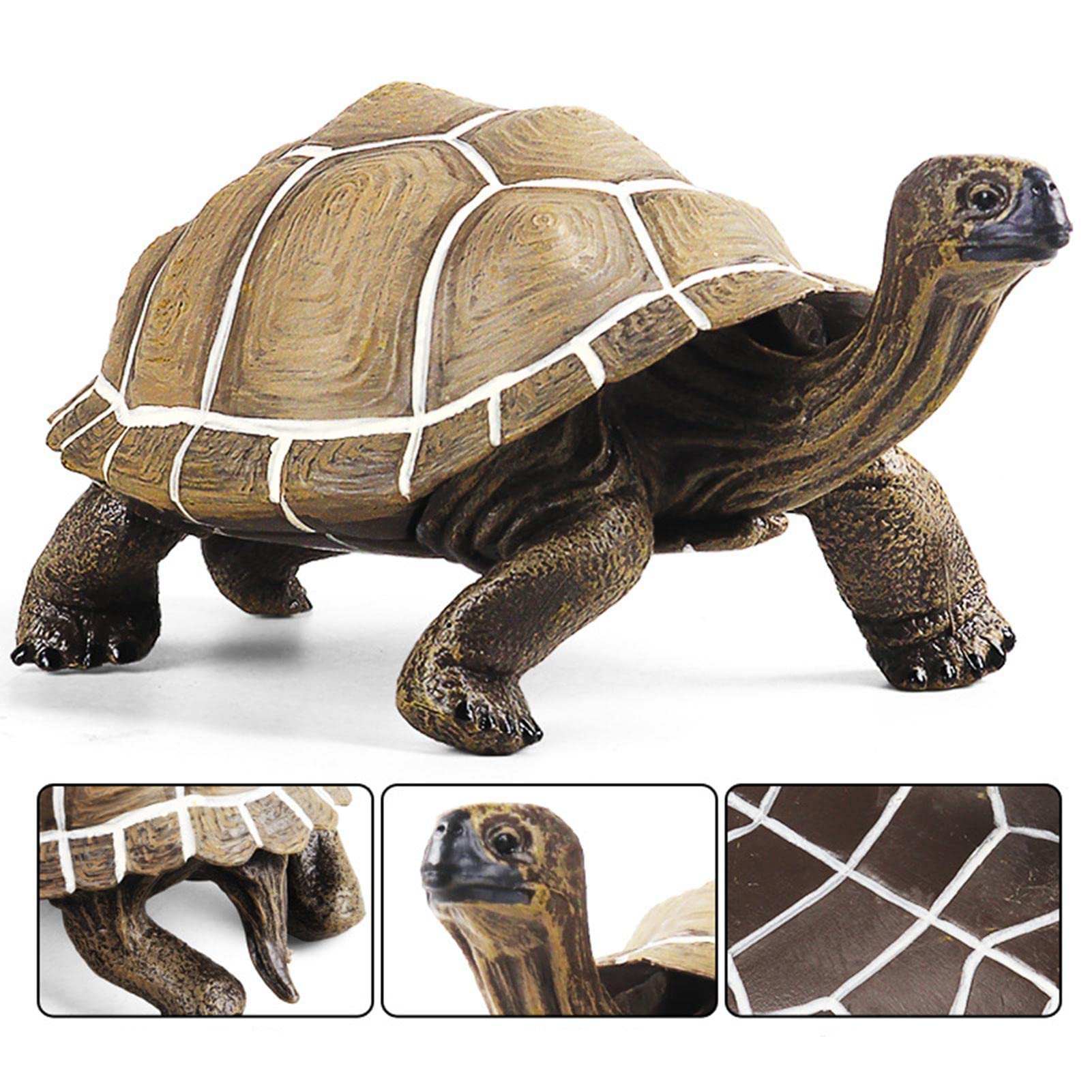 【美品】リアル フィギュア ゾウガメ 置物 親子セット Amazon.co.jp: ゾウガメのおもちゃ、ガラパゴスゾウガメ | ビスタ