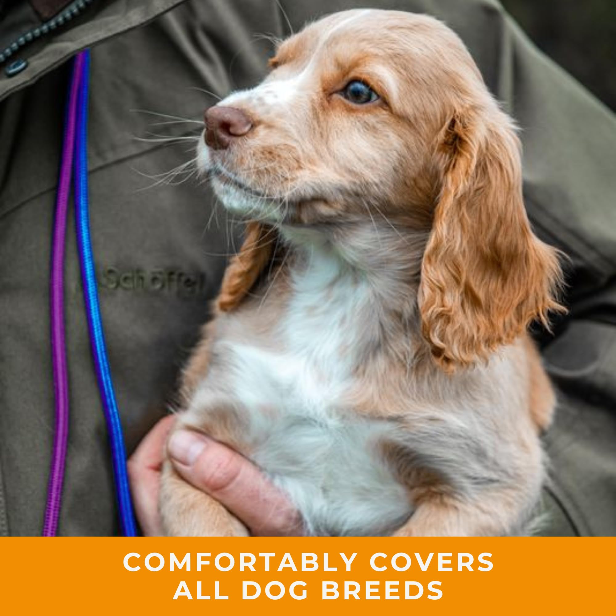 Dog & Field Signature - Correa Deslizante para Perros, Naranja, 1,25 m, Ligera, con tapón de Goma Deslizante para Entrenamiento, no Necesita Collar ni arnés (Naranja)