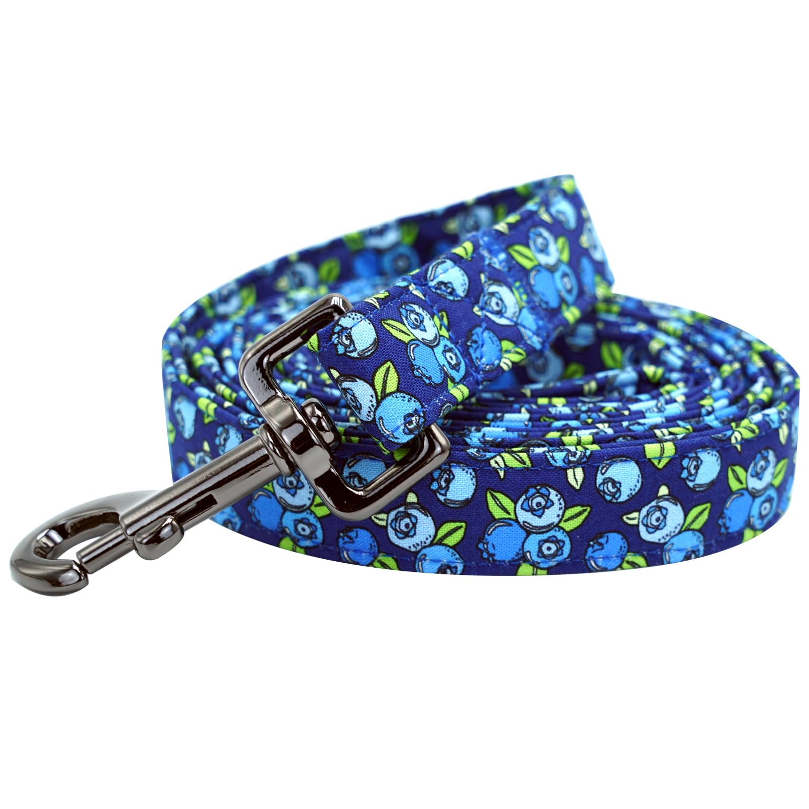 Laisse pour chien avec poignée souple pour les vacances d'été