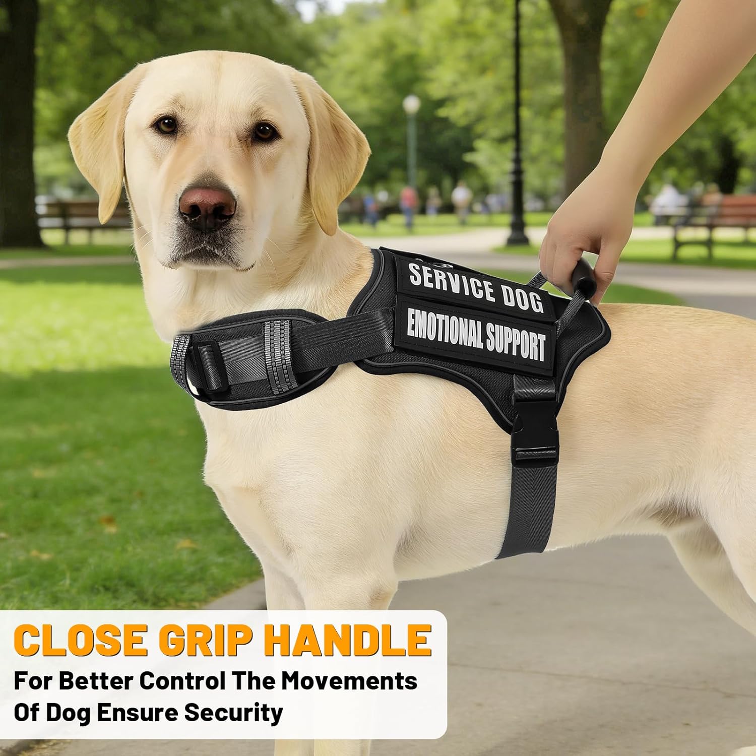 No Pull Dog Harness Adjustable Reflective Easy Control Small Medium Large Dog Harness with A Free Heavy Duty 5ft Dog Leash