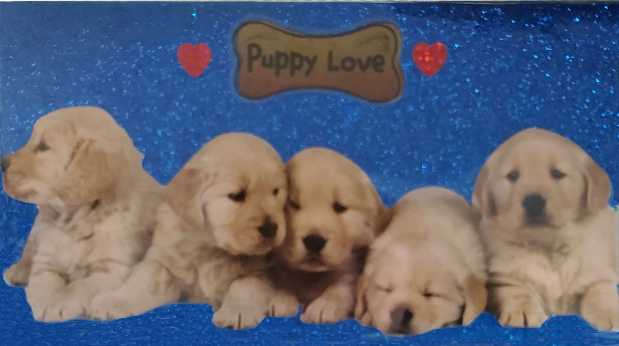 3 Year 2023 - 2024 - 2025 Pocket Calendar Planner with Note Pad (Blue Lab Puppy)