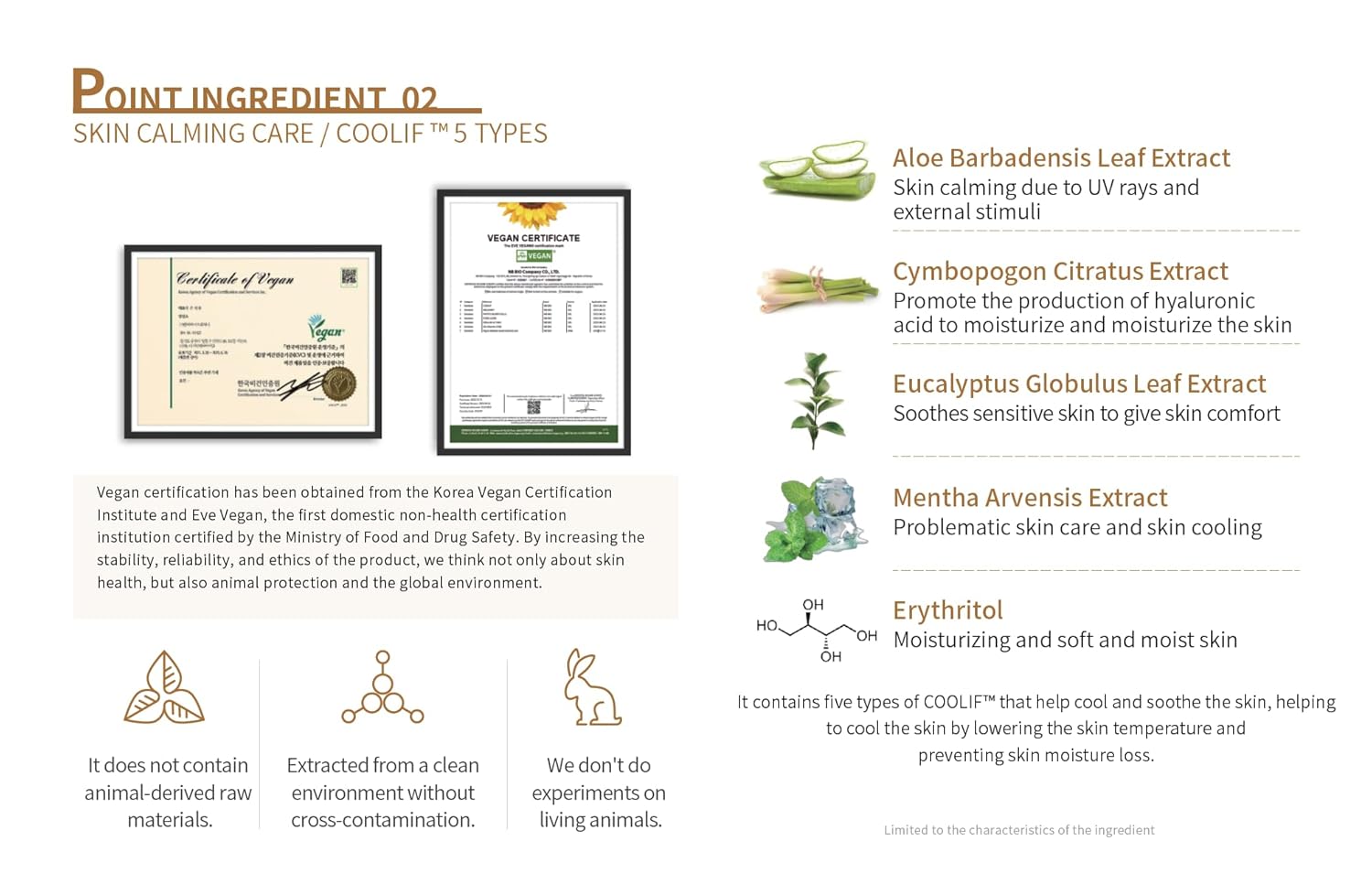 Tom-tit-tot Tenseloid Ampoule, Birghtenning Serum with Niacinamide and Peptides, Korean Skincare, 30ml 1.01 fl oz - Image 3