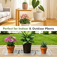 Vista 6 de Paquete de 20 Bandejas Cuadradas para Plantas de 6 Pulgadas, Bandejas de Plástico Transparentes para Plantas, Bandeja de Drenaje para Macetas