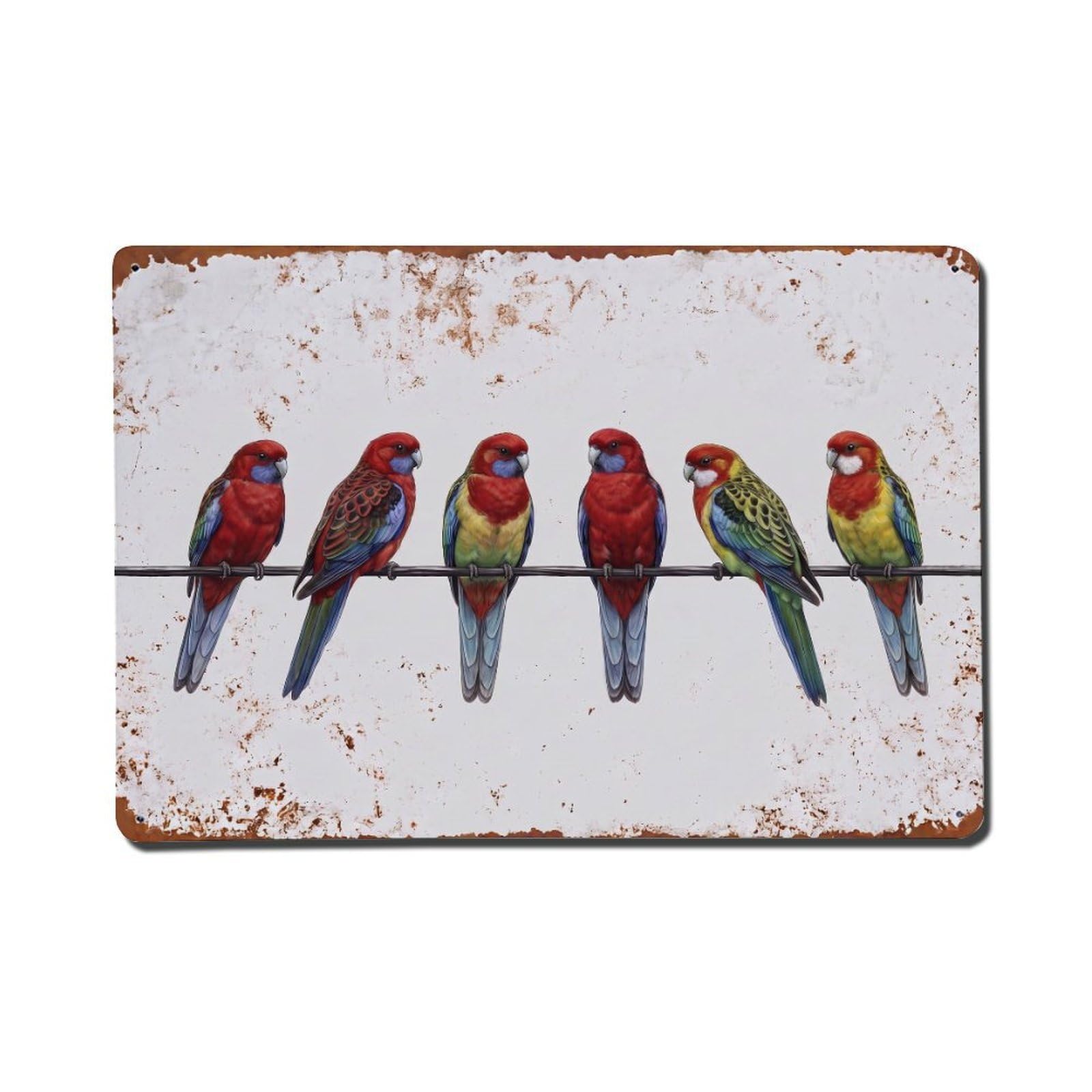 Vintage Retro Birds Crimson Rosella Metal Tin Sign