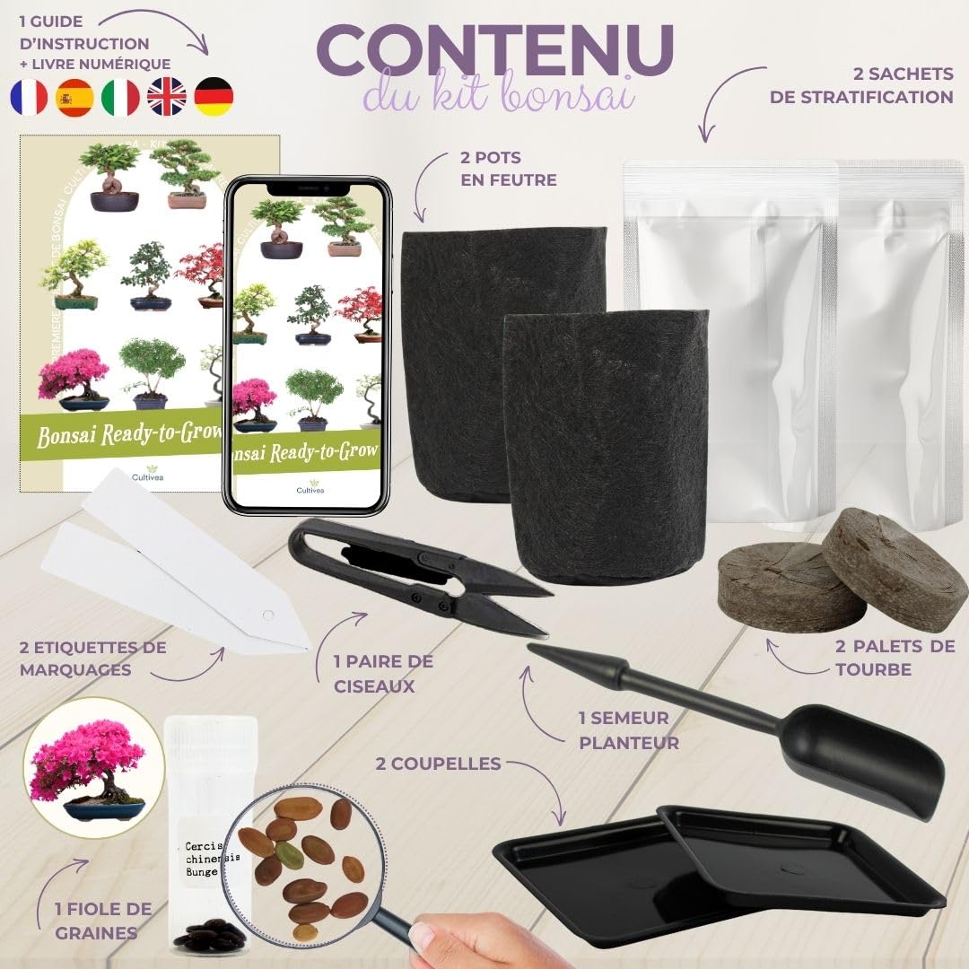 CULTIVEA® Kit First Bonsai – Kit de première culture de Bonsaï avec Graines & Accessoires, Made In France