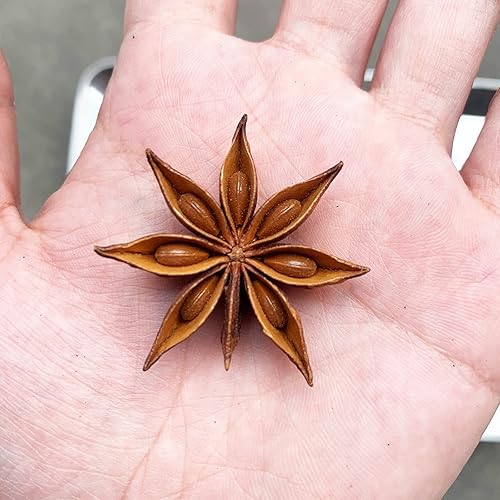 Miniatura 3 de BAILINHOU anís estrellado entero 4oz, vainas secas chinas de la estrella del anís y especia importadas of szechuan, china