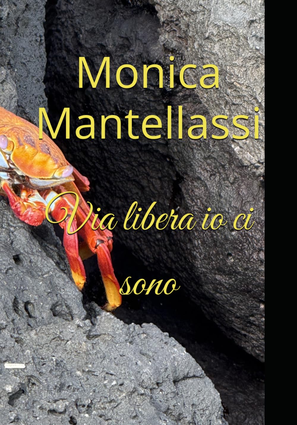 Via libera io ci sono