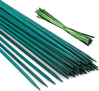 30 Pieces of 30 cm Green Bamboo Sticks with 60 Pieces Metallic Twist Ties, Green Plant Stake, Floral Picks, Wooden Sign Posting Garden Sticks, Plant sticks, Plant Stake